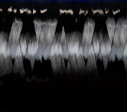 投資75億！又一年產(chǎn)2.4萬噸高性能聚丙烯腈基碳纖維項(xiàng)目完成簽約